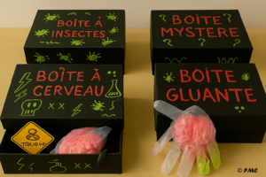 Quatre boîtes d'Halloween différentes sont présentées sur une table.