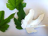 Pinceau étalant de la peinture gouache blanche sur une feuille d'arbre verte.